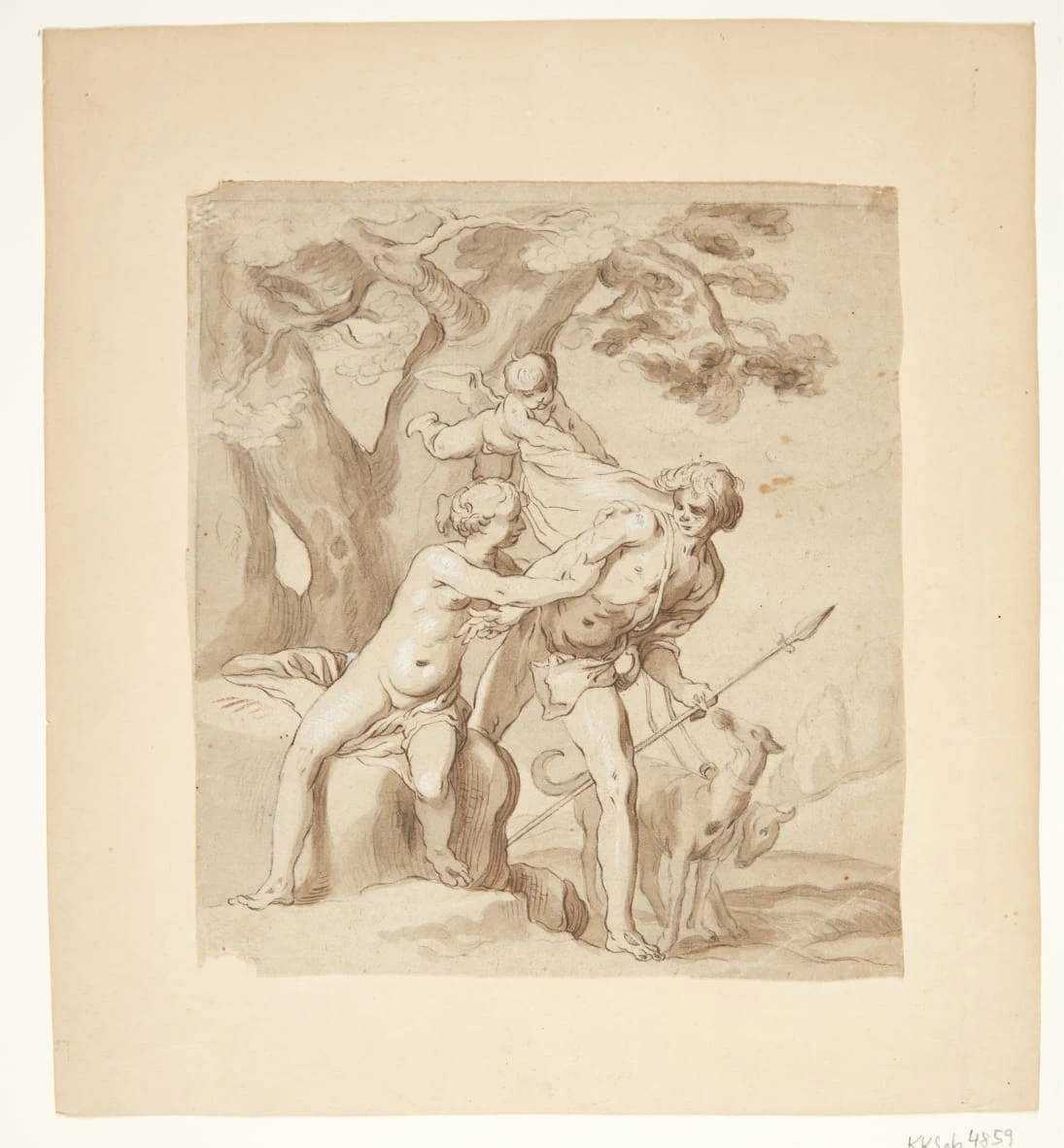 Venere e Adone - Statens Museum for Kunst